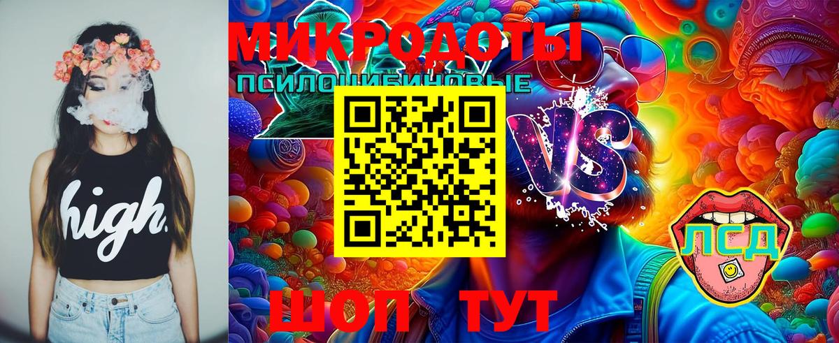 Псилоцибиновые грибы Cubensis  Вход с VPN  Александров 